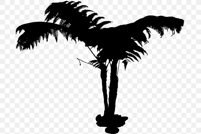Palm Tree Silhouette, PNG, 700x546px, Palm Trees, Arecales, Black White M, Branching, Palm Tree Download Free