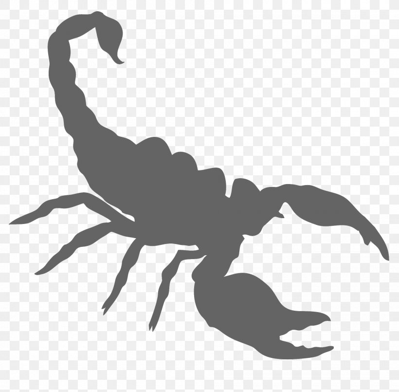 Scorpion Clip Art, PNG, 1920x1885px, Scorpion, Arachnid, Arthropod, Autocad Dxf, Black And White Download Free