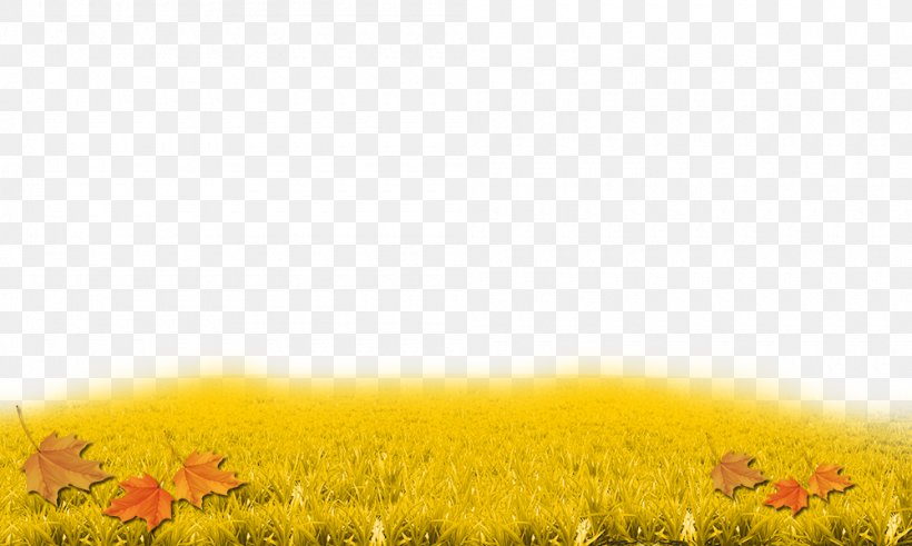 Yellow Sunflowers Sky Grasses Wallpaper, PNG, 1000x600px, Yellow, Computer, Ecoregion, Family, Field Download Free
