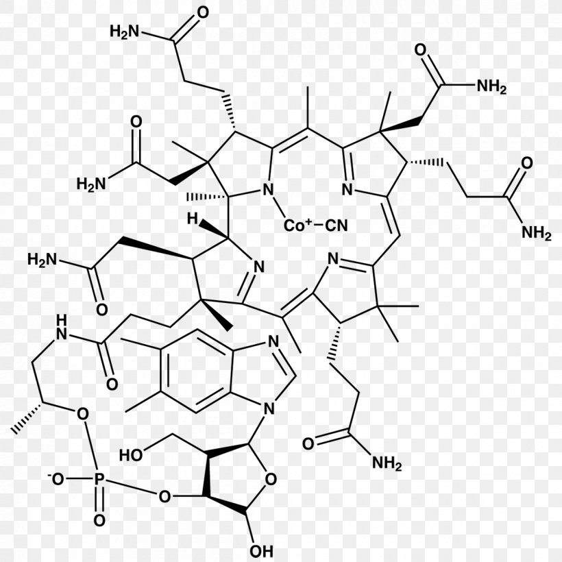 B Vitamins Vitamin B-12 Cyanocobalamin Biotin, PNG, 1200x1200px, Vitamin, Area, B Vitamins, Biotin, Black And White Download Free