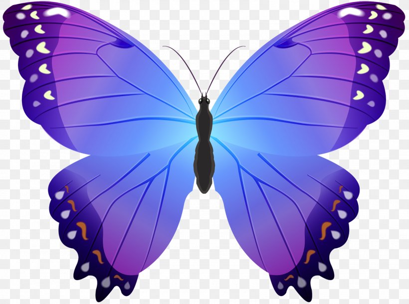 Butterfly Color Clip Art, PNG, 1600x1192px, Butterfly, Arthropod, Blue, Brush Footed Butterfly, Color Download Free