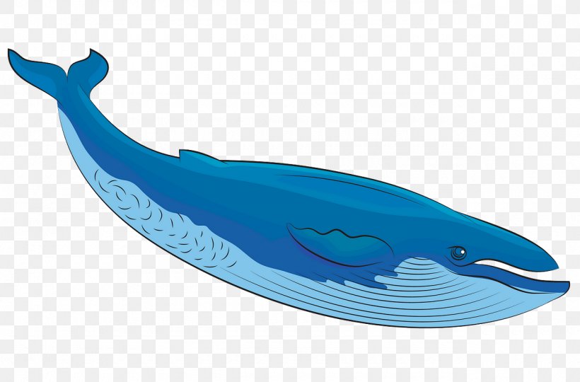 Cetacea Whale Blue Whale Dolphin Animal Figure, PNG, 1280x843px, Cetacea, Animal Figure, Blue Whale, Bottlenose Dolphin, Dolphin Download Free