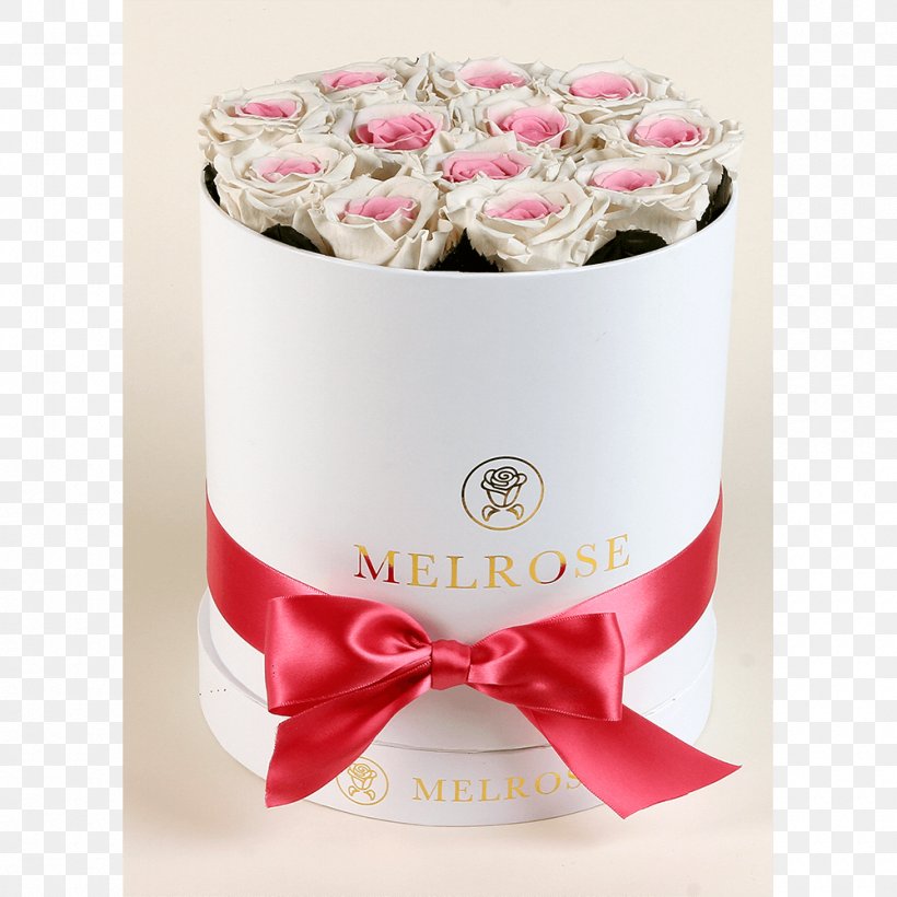 Flowers Of Melrose Petal Boxing White, PNG, 1000x1000px, Flower, Blue, Boxing, Petal, Pink Download Free