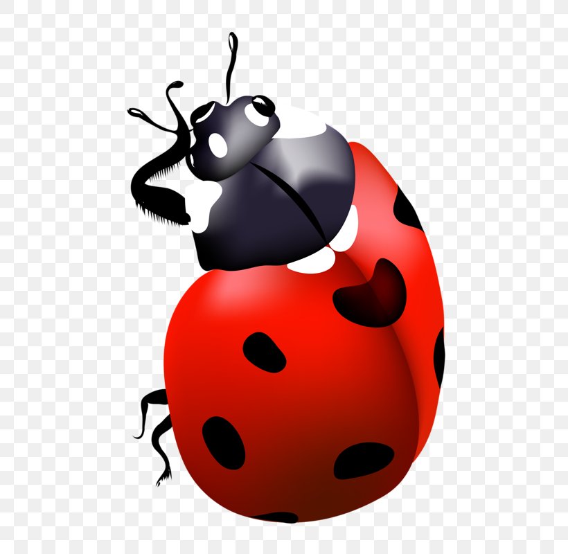 Red Clip Art, PNG, 486x800px, Red, Beetle, Cartoon, Insect, Invertebrate Download Free