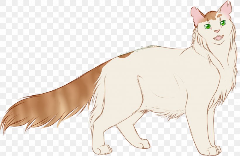 Whiskers Cat Dog Breed Red Fox, PNG, 1024x669px, Whiskers, Artwork, Breed, Carnivoran, Cartoon Download Free