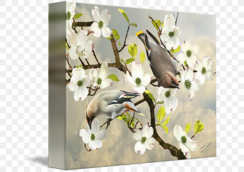 Cherry Blossom Floral Design Fauna, PNG, 650x579px, Cherry Blossom, Blossom, Branch, Cherry, Fauna Download Free