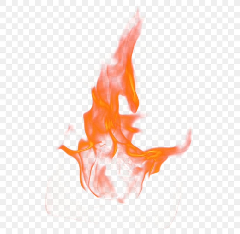 Fire Computer File, PNG, 645x800px, Flame, Candle, Digital Image, Fire, Orange Download Free