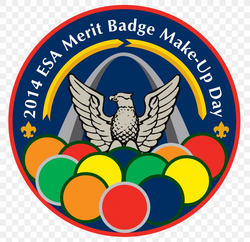 National Eagle Scout Association Boy Scouts Of America Scouting Merit Badge, PNG, 2635x2552px, Eagle Scout, Area, Badge, Boy Scouts Of America, Boy Scouts Of The Philippines Download Free