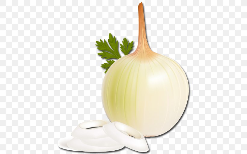 Onion Garlic, PNG, 512x512px, Onion, Food, Garlic, Ingredient, Onion Genus Download Free