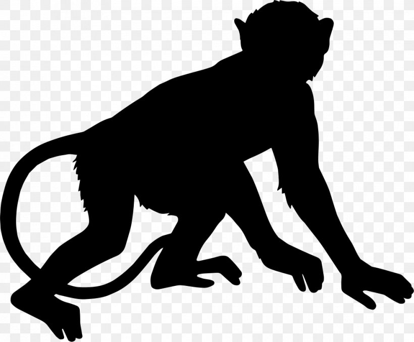 Primate Monkey Clip Art, PNG, 981x811px, Primate, Big Cats, Black, Black And White, Carnivoran Download Free