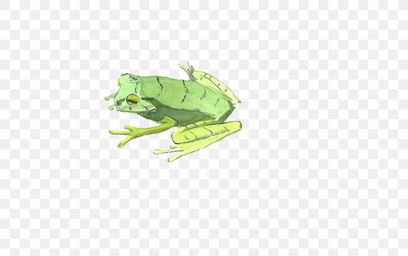 Watercolor Painting Illustration, PNG, 525x515px, Watercolor Painting, Amphibian, Cartoon, Crayon, Designer Download Free