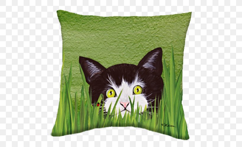 Whiskers Throw Pillows Cushion Textile, PNG, 500x500px, Whiskers, Cat, Cat Like Mammal, Cushion, Grass Download Free
