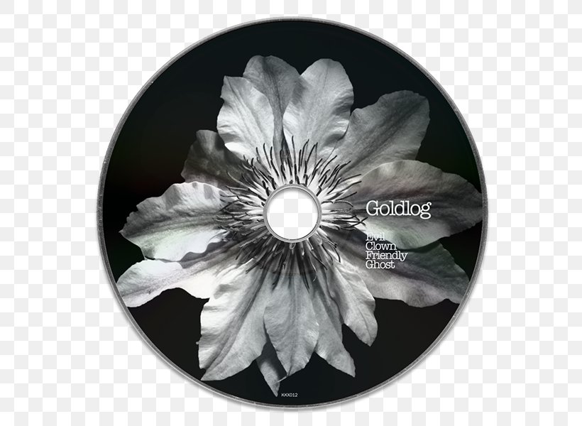 White, PNG, 600x600px, White, Black And White, Flora, Flower, Monochrome Download Free