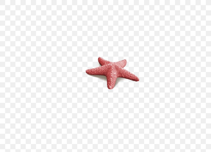 Starfish Pattern, PNG, 591x591px, Starfish, Pink, Red Download Free