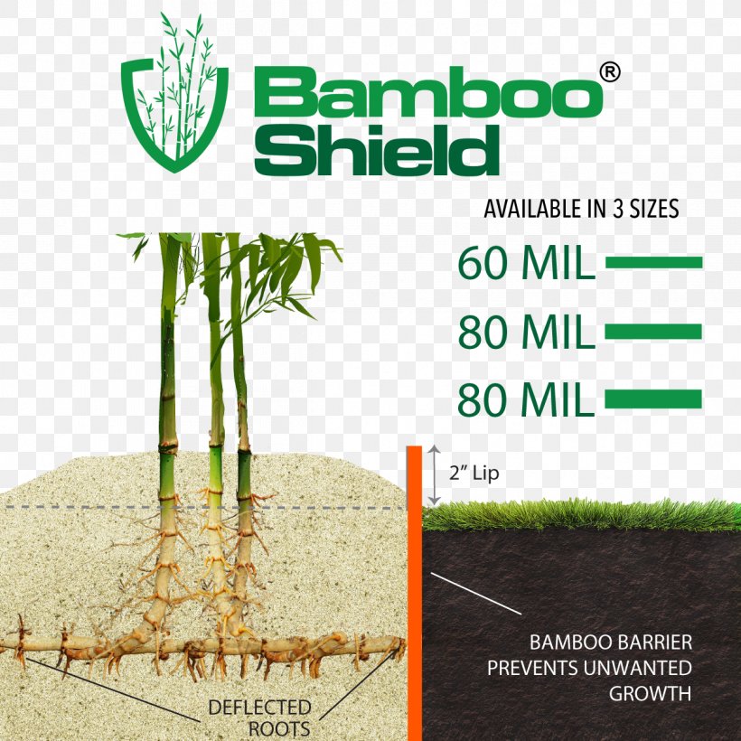 Bisset's Bamboo Grasses Root Barrier Tree, PNG, 1213x1213px, Bamboo, Advertising, Agriculture, Brand, Crop Download Free
