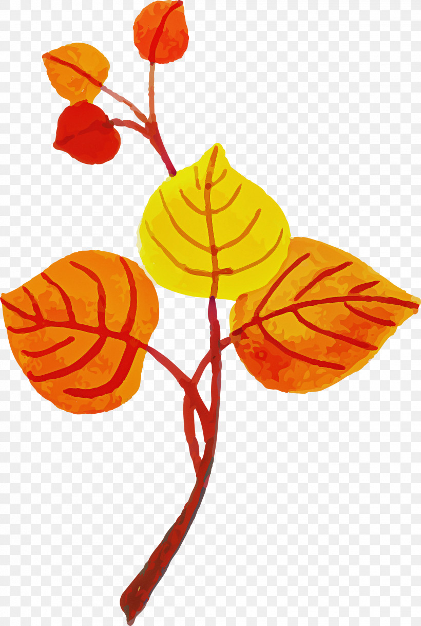 Leaf Plant Stem Petal Flower Branch, PNG, 2019x3000px, Watercolor Autumn, Biology, Branch, Colorful Leaf, Flower Download Free