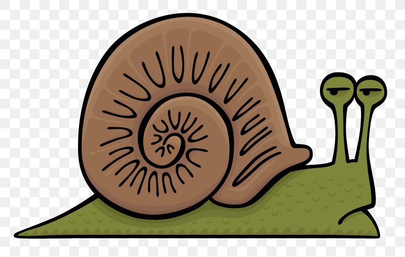 Snail Gastropods Slug Clip Art, PNG, 800x521px, Snail, Animal, Banana Slug, Cartoon, Doodle Download Free