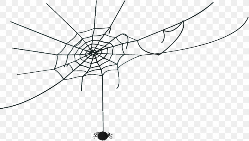 Spider Web Halloween, PNG, 1026x584px, Spider Web, Blackandwhite, Halloween, Line, Line Art Download Free