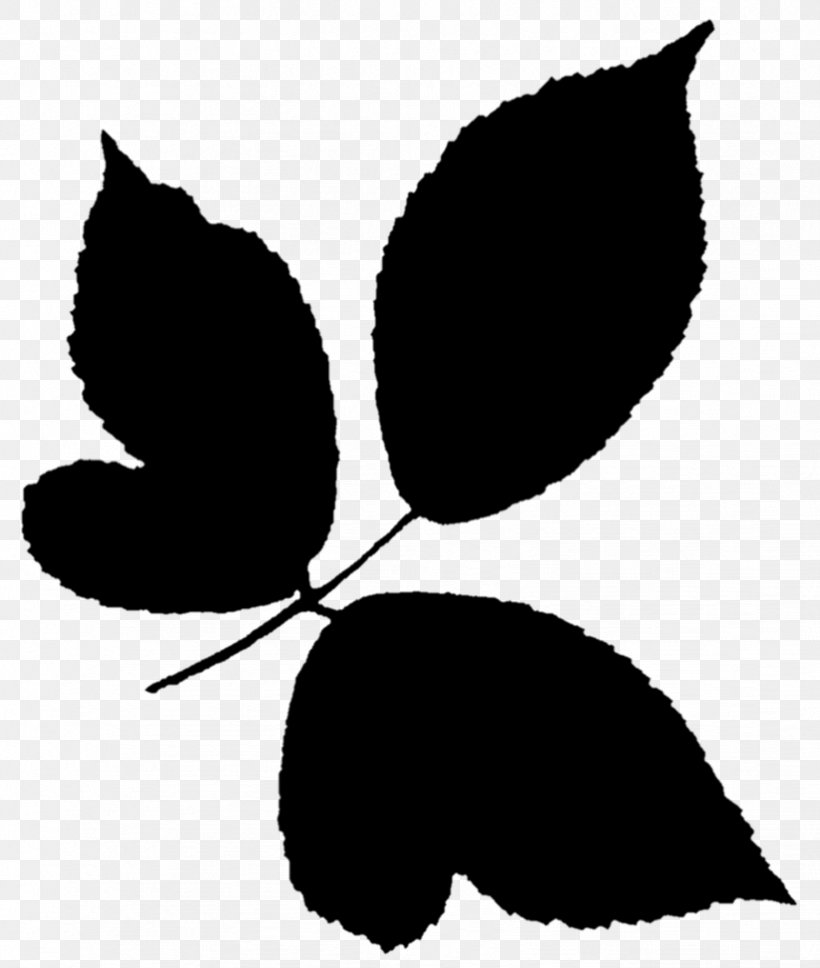 Clip Art Flowering Plant Silhouette Leaf, PNG, 822x971px, Flower, Black M, Blackandwhite, Botany, Branching Download Free