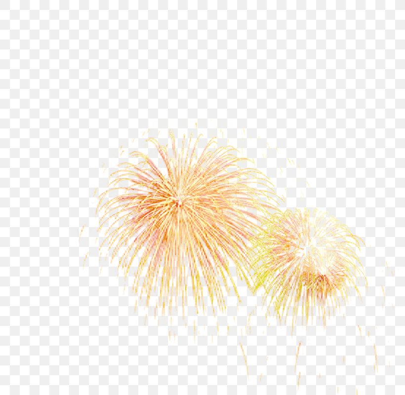 Fireworks Download, PNG, 800x800px, Fireworks, Chinese New Year, Holiday, New Year, Pyrotechnics Download Free