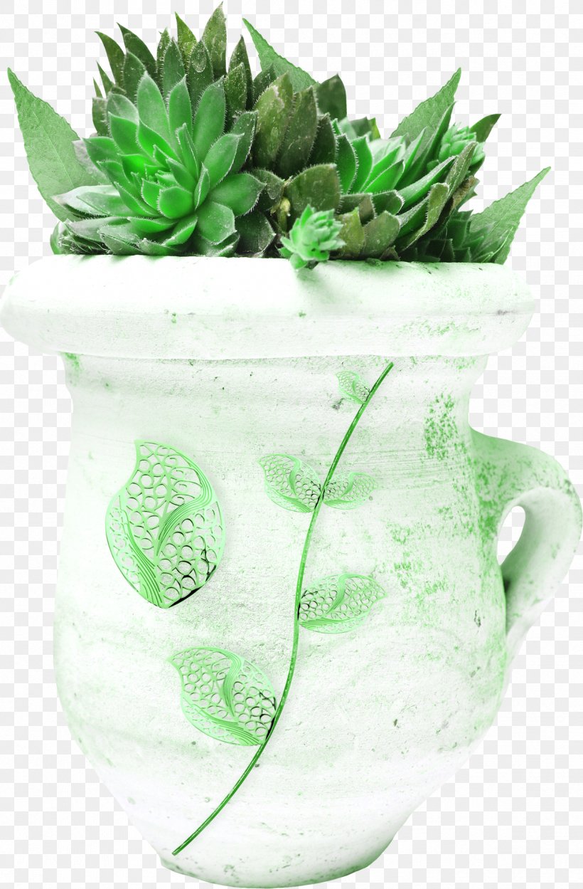 Succulent Plant Leaf Cactaceae, PNG, 1247x1900px, Plant, Aplant, Bottle, Bottled Water, Cactaceae Download Free