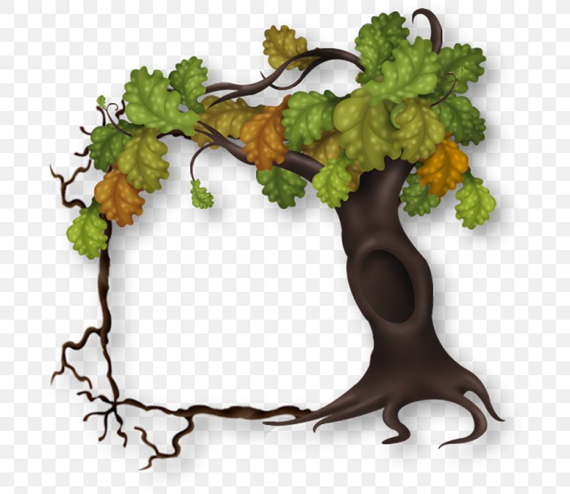 Clip Art Borders And Frames Image Grape, PNG, 692x711px, Borders And Frames, Branch, Drawing, Flower, Food Download Free