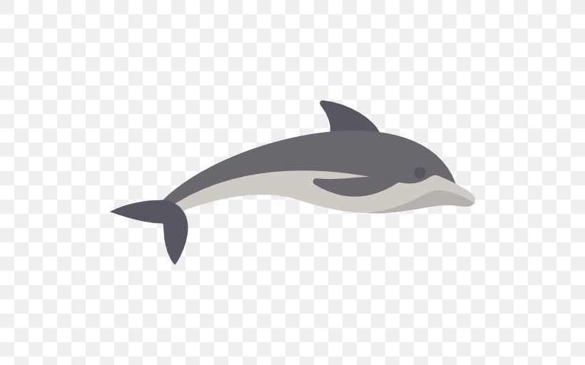 Common Bottlenose Dolphin Short-beaked Common Dolphin Tucuxi White-beaked Dolphin Porpoise, PNG, 512x512px, Common Bottlenose Dolphin, Animal, Beak, Dolphin, Dolphin Browser Download Free