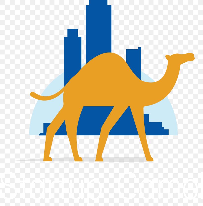 Dromedary Bactrian Camel Startup Company Start-up Nation Silicon Valley, PNG, 3280x3328px, Dromedary, Arabian Camel, Area, Bactrian Camel, Brand Download Free