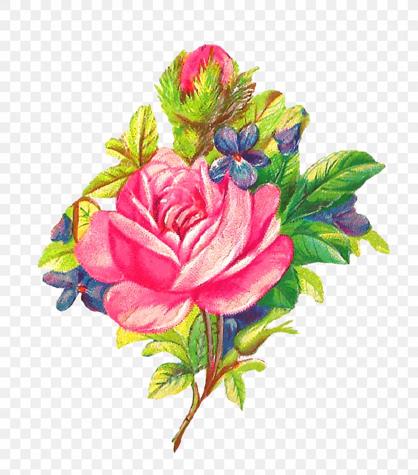 Flower Garden Roses Pink Clip Art, PNG, 1000x1136px, Flower, Cut Flowers, Floral Design, Floristry, Flower Arranging Download Free