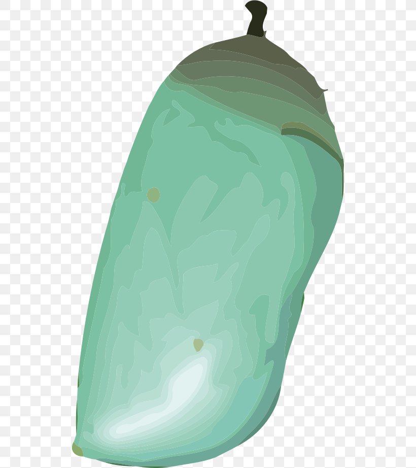 Monarch Butterfly Pupa Clip Art, PNG, 537x922px, Butterfly, Caterpillar, Green, Monarch Butterfly, Pupa Download Free