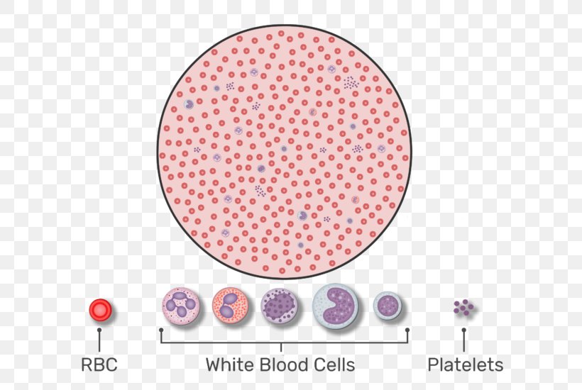 Red Blood Cell White Blood Cell Complete Blood Count, PNG, 666x550px, Red Blood Cell, Area, Blood, Blood Cell, Blood Test Download Free