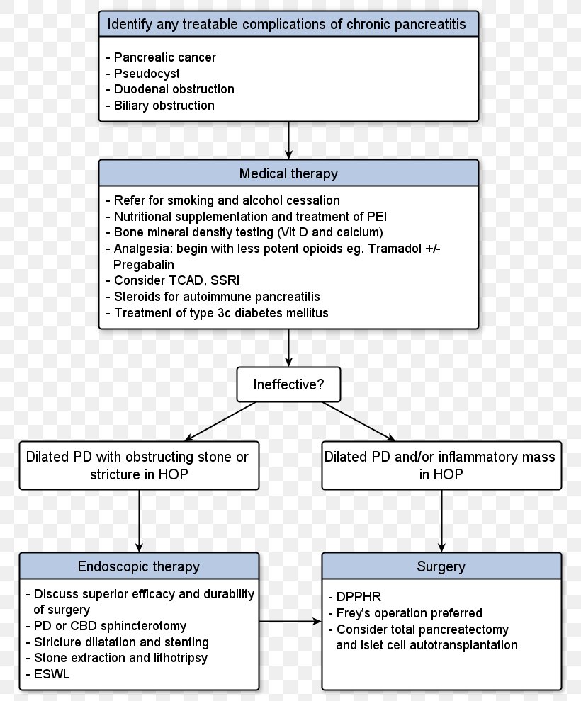 Chronic Pancreatitis Pancreas Divisum Pancrelipase Pancreatic Cancer ...