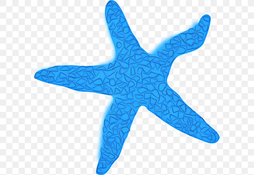 Fish Cartoon, PNG, 600x563px, Starfish, Aqua, Azure, Biology, Blue Download Free