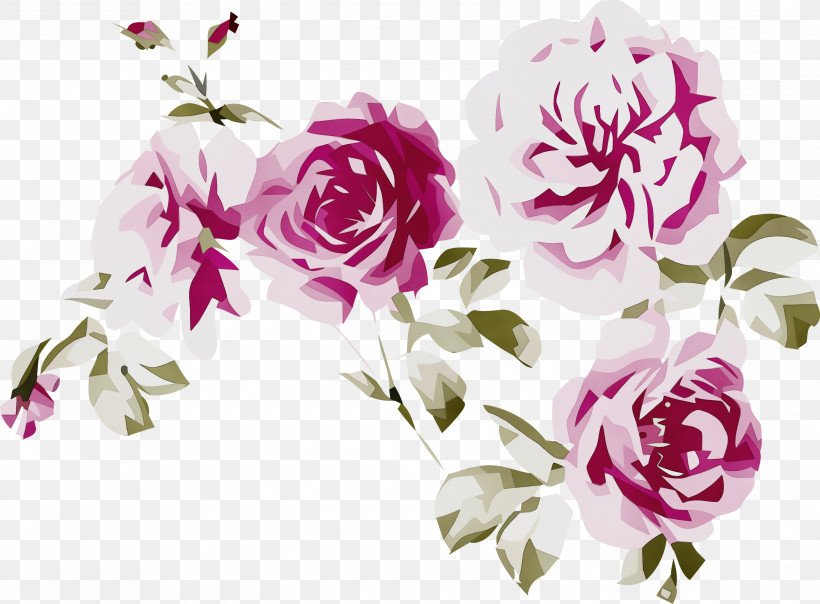 Floral Design, PNG, 3000x2212px, Watercolor Flower, Artificial Flower, Cabbage Rose, Cut Flowers, Floral Design Download Free