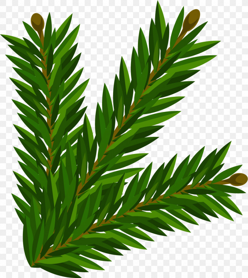 Palm Trees, PNG, 1030x1156px, English Yew, Branch, Evergreen, Houseplant, Larch Download Free