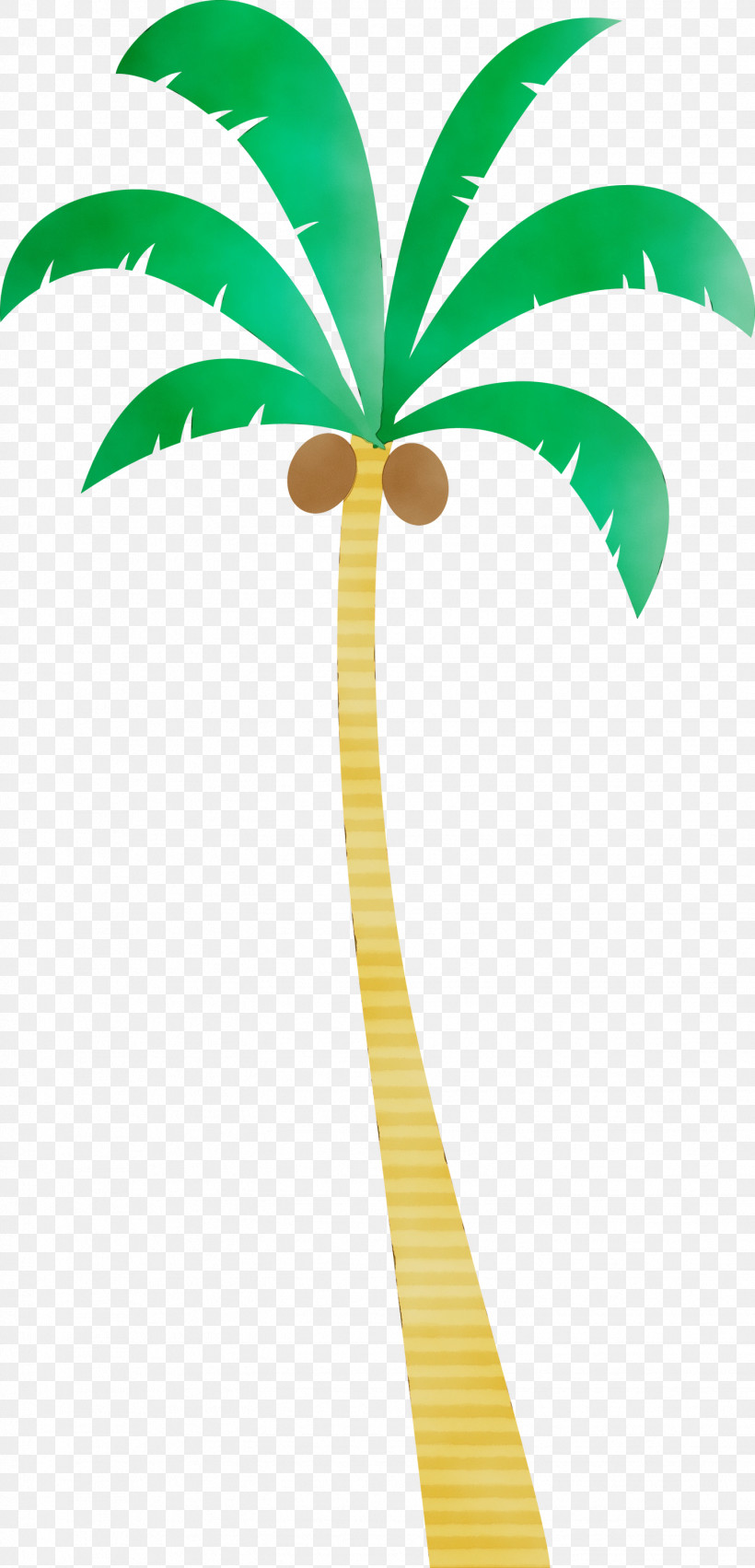 Palm Trees, PNG, 1444x3000px, Palm Tree, Beach, Biology, Cartoon Tree, Leaf Download Free