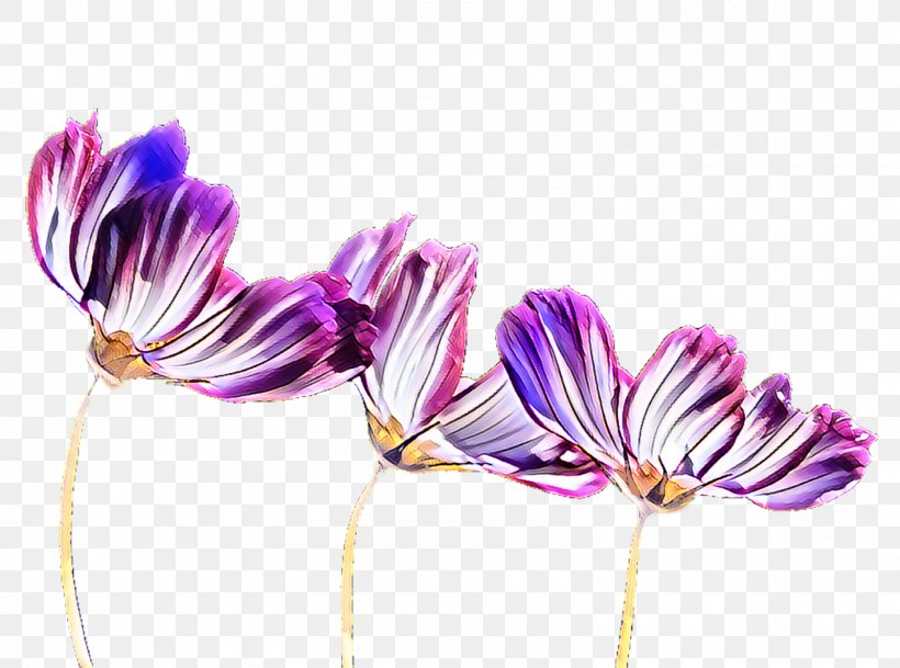 Purple Flowering Plant Plants, PNG, 1600x1189px, Purple, Flora, Flower, Flowering Plant, Lilac Download Free