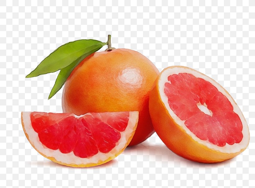 Citrus Fruit Grapefruit Food Natural Foods, PNG, 800x606px, Watercolor, Citric Acid, Citrus, Clementine, Food Download Free