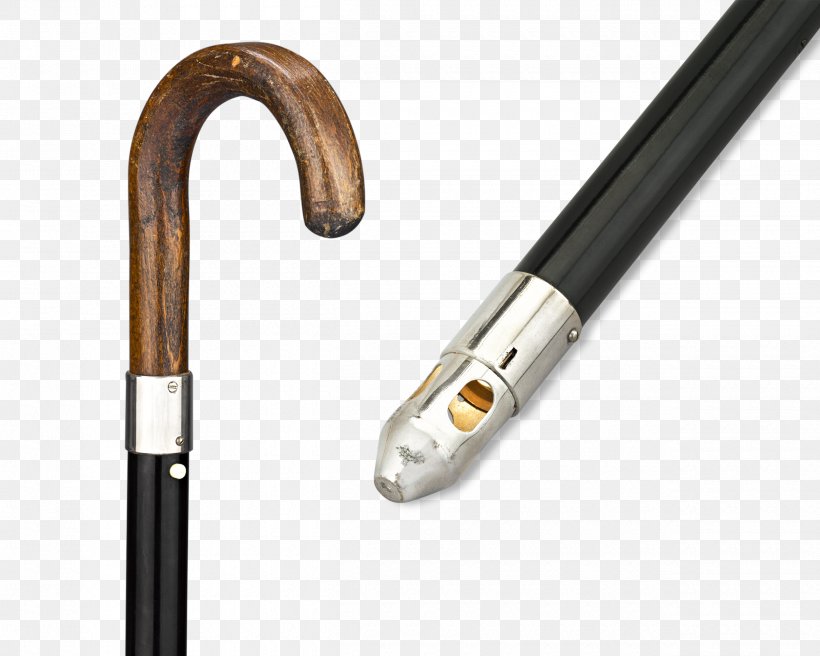 Walking Stick Assistive Cane Ferrule Bastone, PNG, 2500x2000px, Watercolor, Cartoon, Flower, Frame, Heart Download Free