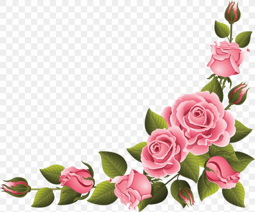 Garden Roses, PNG, 2999x2503px, Pink, Bouquet, Cut Flowers, Floral Design, Flower Download Free