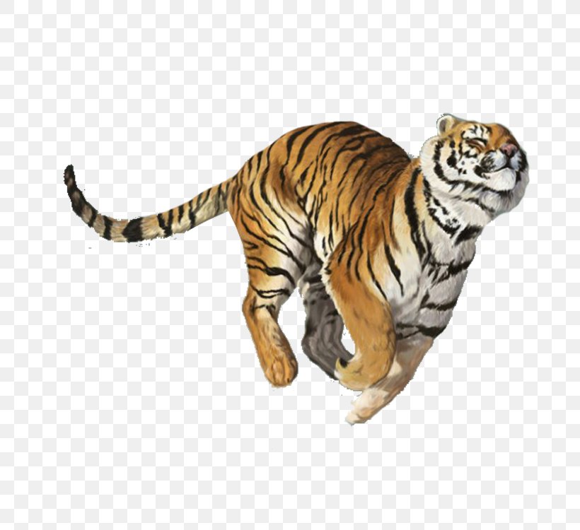 Tiger Balm Nuchal Rigidity, PNG, 750x750px, Tiger, Adhesive Capsulitis Of Shoulder, Aliexpress, Big Cats, Carnivoran Download Free