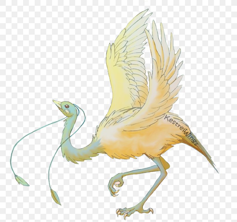 Beak Fan Art Bird Drawing DeviantArt, PNG, 800x768px, Beak, Art, Bird, Color, Crane Like Bird Download Free