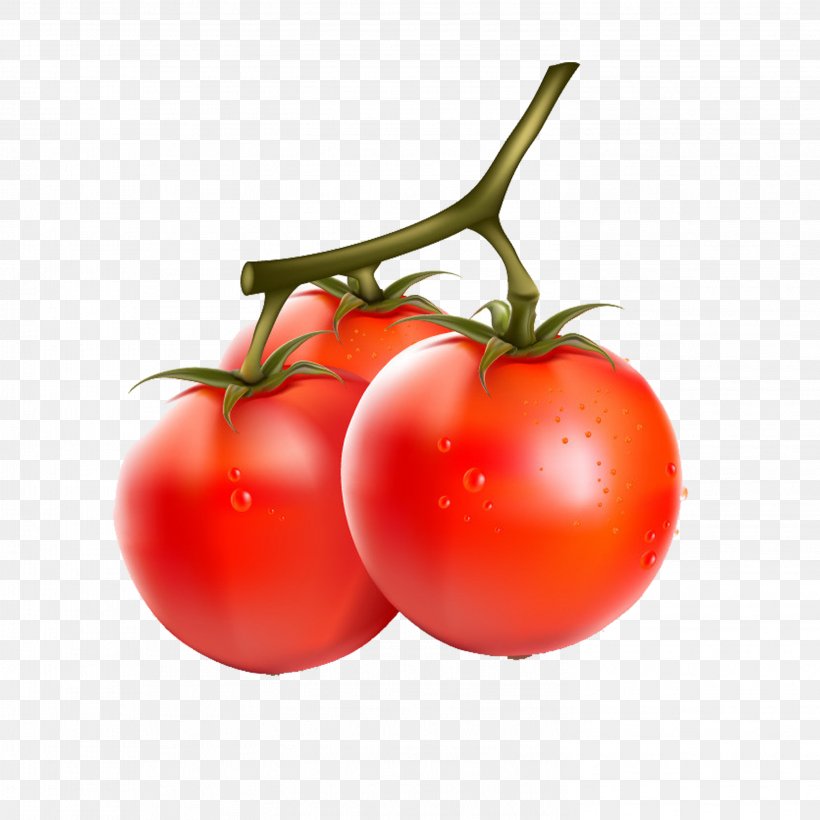 Cherry Tomato Vegetable Fruit Eggplant, PNG, 2953x2953px, Cherry Tomato, Acerola, Acerola Family, Apple, Bell Pepper Download Free