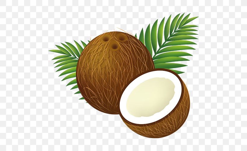Coconut Water Clip Art, PNG, 500x500px, Coconut Water, Arecaceae, Coconut, Drawing, Food Download Free