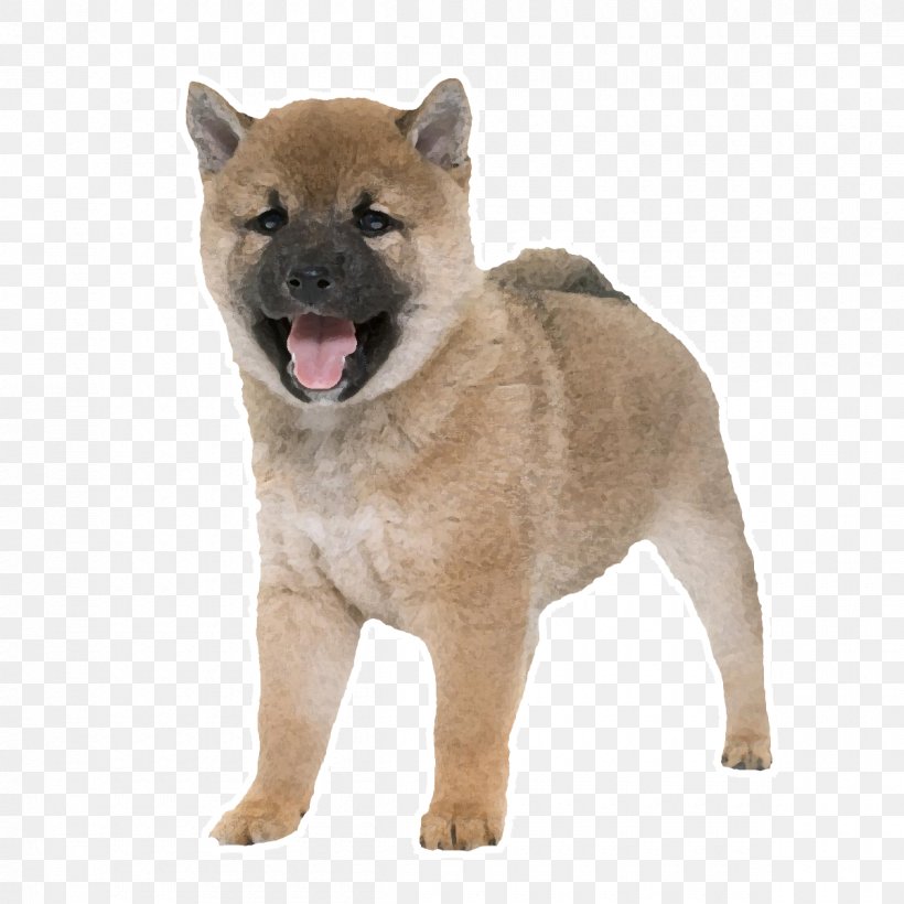 Czechoslovakian Wolfdog Shiba Inu Hokkaido Shikoku Dog Breed, PNG, 1200x1200px, Czechoslovakian Wolfdog, Akita, Ancient Dog Breeds, Carnivoran, Dog Download Free