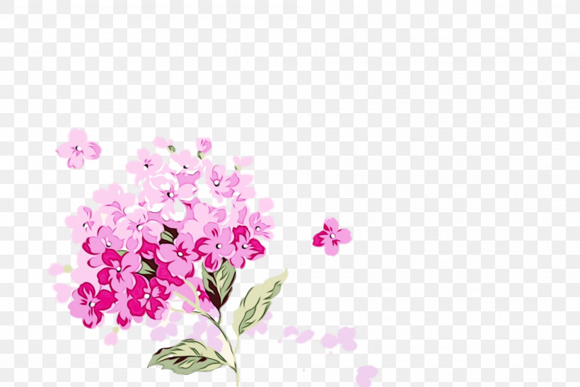 Floral Design, PNG, 1920x1282px, Watercolor, Annual Plant, Blossom, Cherry Blossom, Cut Flowers Download Free
