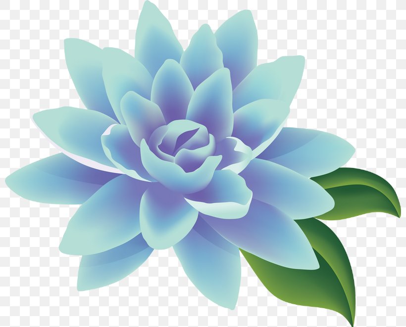 Flower Clip Art, PNG, 800x662px, Flower, Blue, Drawing, Petal, Photography Download Free