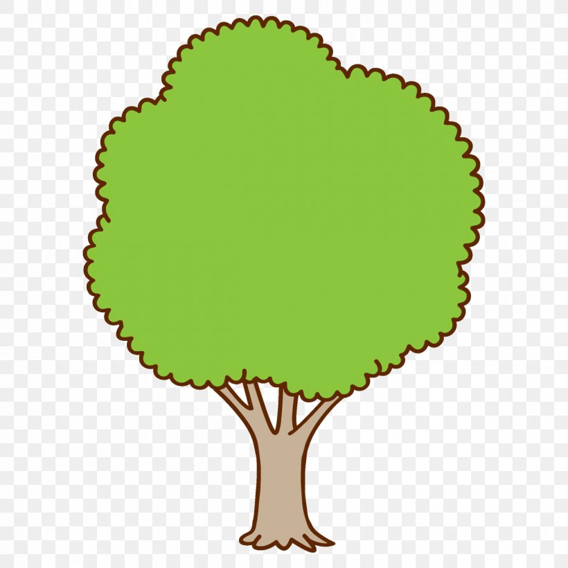 Green Tree Leaf Plant Symbol, PNG, 1200x1200px, Green, Leaf, Plant, Symbol, Tree Download Free