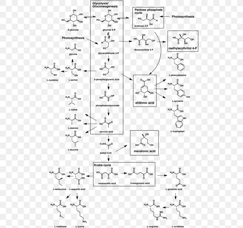 Secondary Metabolite Biosynthesis Chemistry Natural Product, PNG, 522x768px, Watercolor, Cartoon, Flower, Frame, Heart Download Free