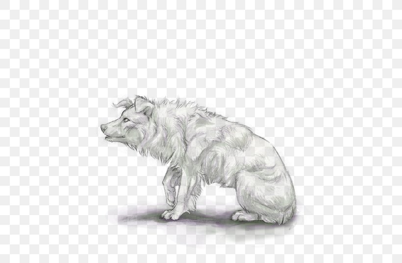 Sketch Australian Shepherd Line Art Louisiana Catahoula Leopard Dog Sheltie, PNG, 475x538px, Australian Shepherd, Art, Artwork, Canidae, Carnivore Download Free